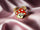 The Chloe - Red Mushroom Kids Fidget Spinner Ring